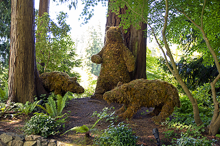 butchart bear topiary